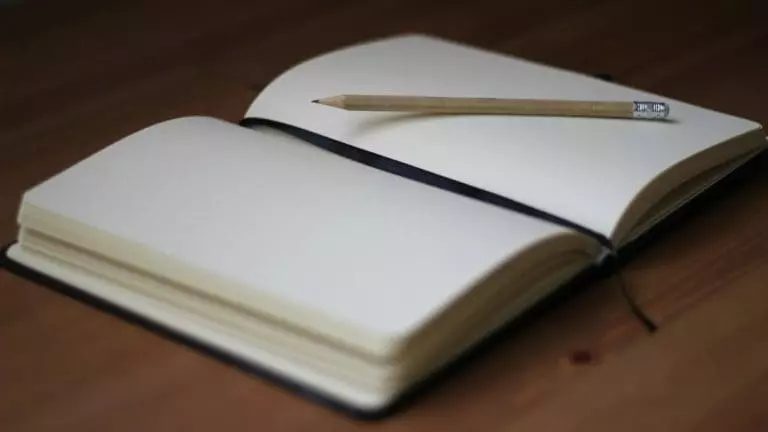 brown pencil on white book page